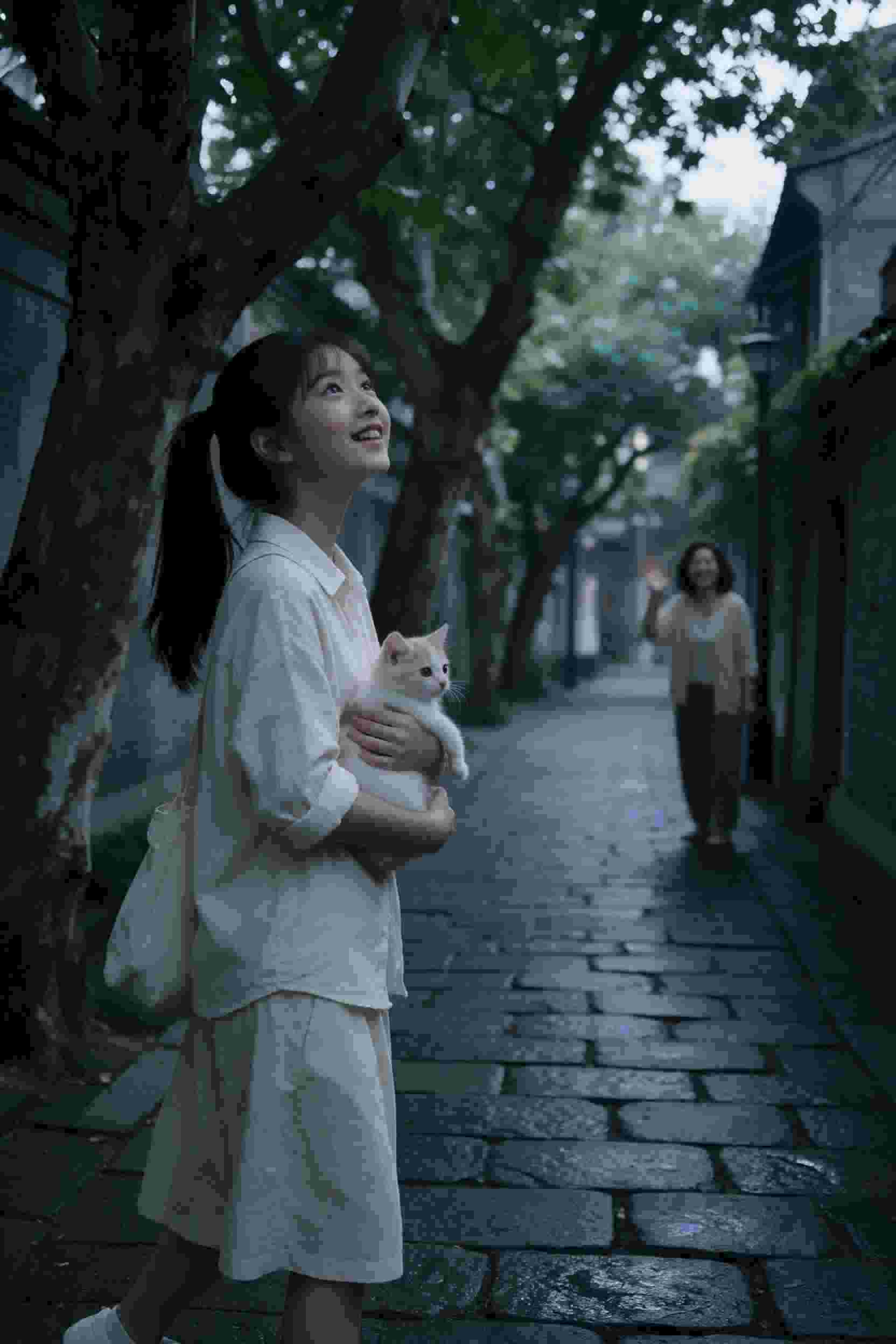 梦幻之旅